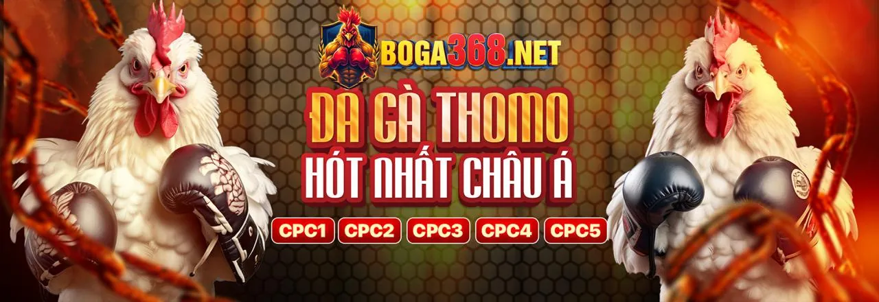 Đồ họa tổng quan các cấp độ VIP của qh77.com